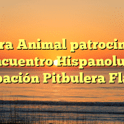 Tierra Animal patrocina III Encuentro Hispanoluso Agrupación Pitbulera Flaycan