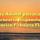 Tierra Animal patrocina III Encuentro Hispanoluso Agrupación Pitbulera Flaycan