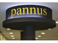 Descubre todos los datos de la Pannus