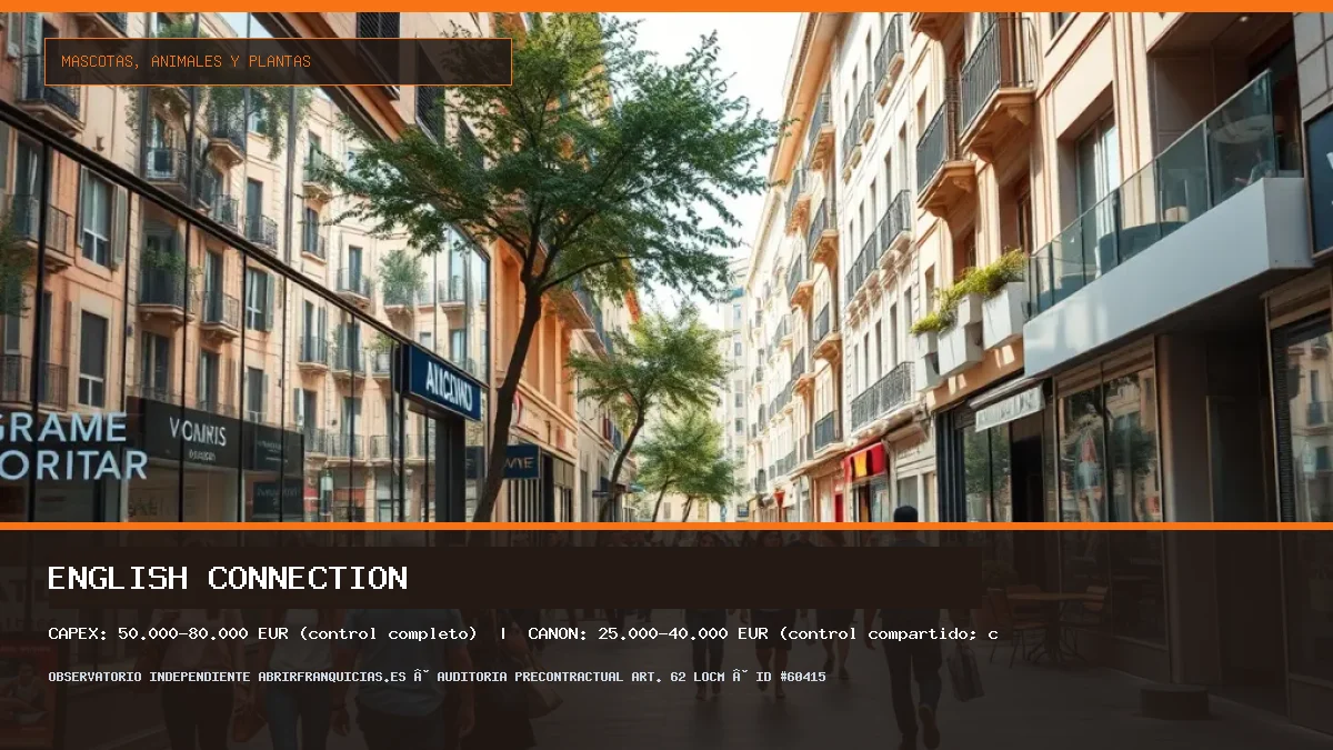 Franquicia ENGLISH CONNECTION: Inversión, Canon, Requisitos y Rentabilidad [2026] (ENGLISH CONNECTION - 50.000–80.000 € (control completo))