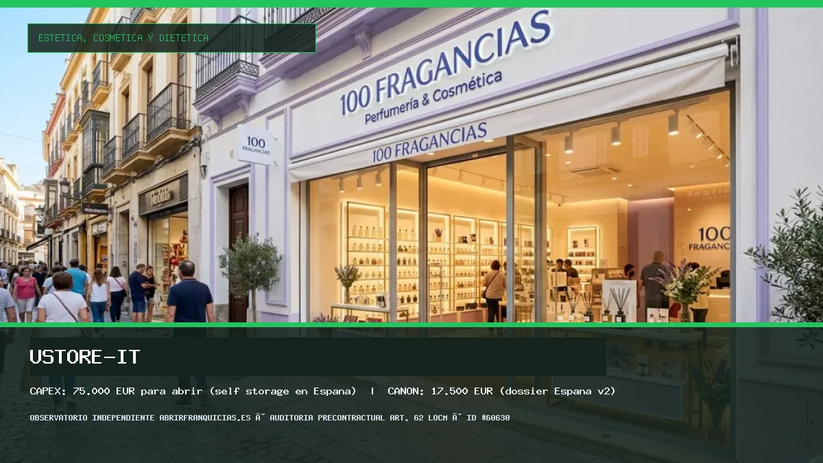 Franquicia uStore-it: Inversión, Canon, Requisitos y Rentabilidad [2026]